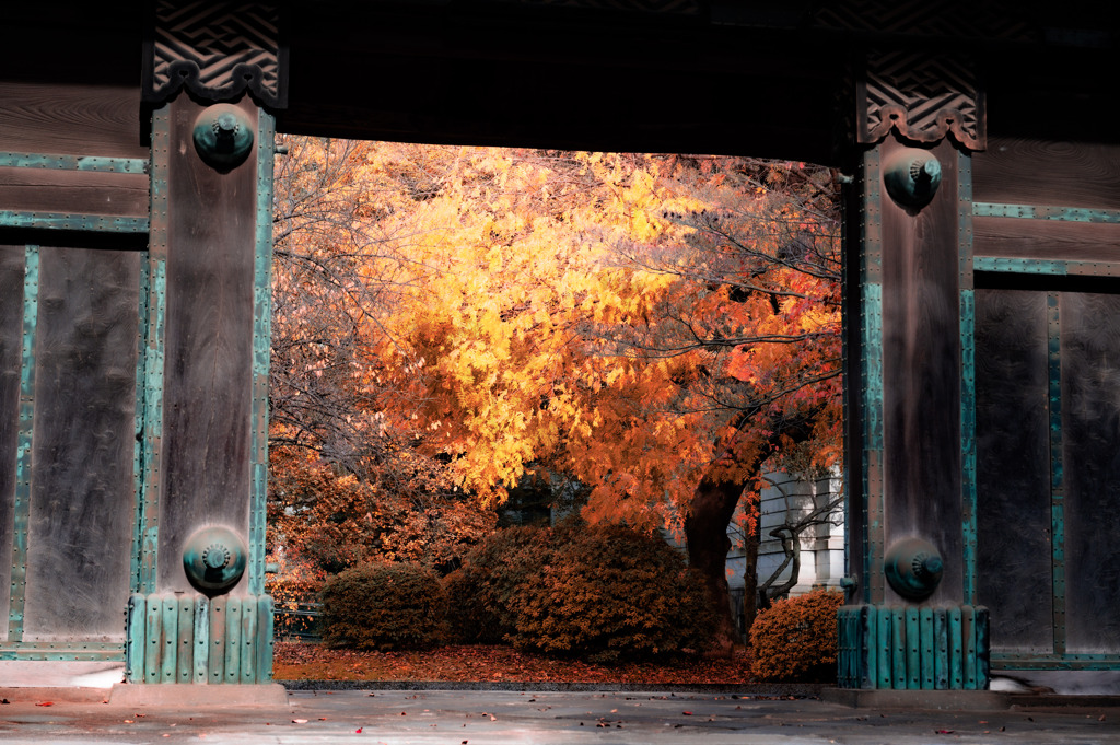 紅葉