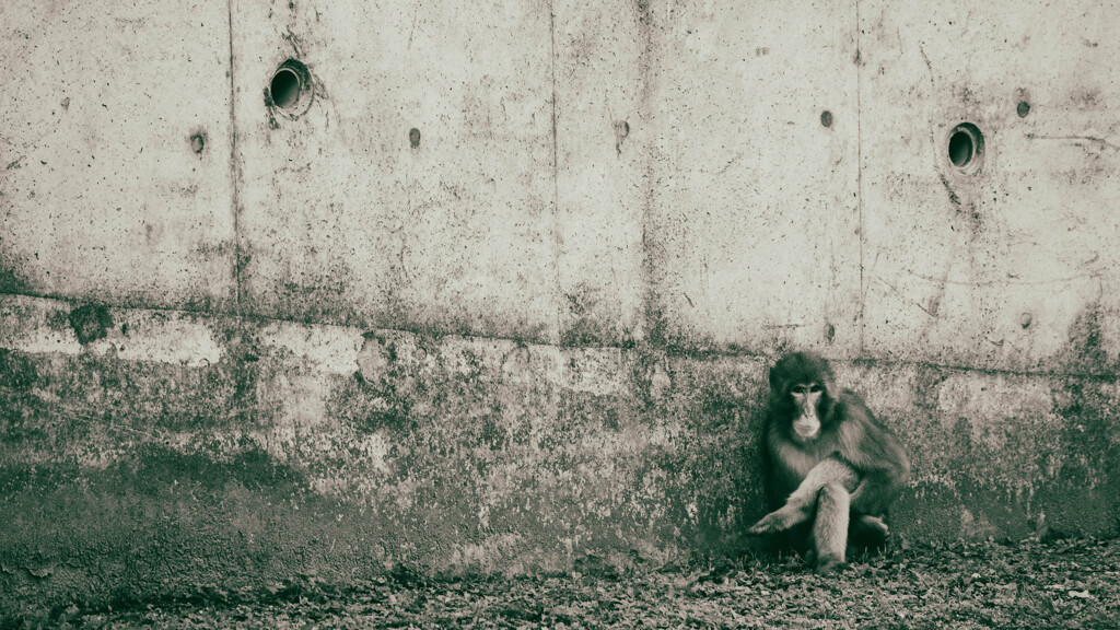 存在するということ