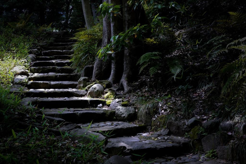小石川後楽園