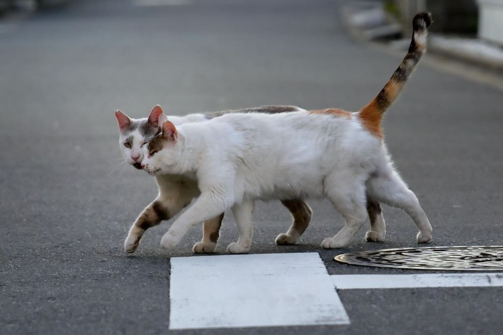 帰り道