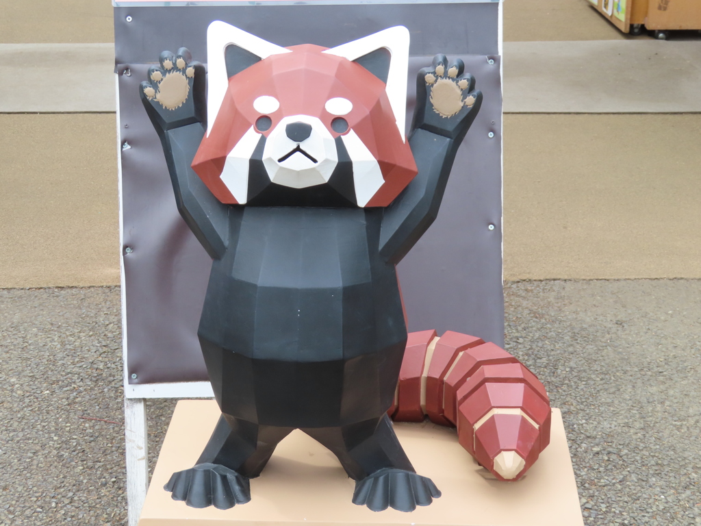 久々の野毛山動物園！！