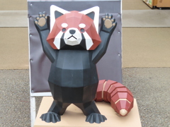 久々の野毛山動物園！！