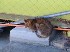 ずりおちそう・・・