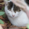 しげみ君。。。