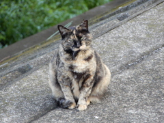 今日はセクシーポーズでお出迎え