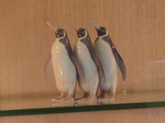突然のペンギントリオ！！