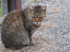 おなかが減ったの。。。