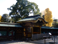 上野東照宮と銀杏