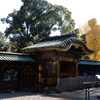 上野東照宮と銀杏