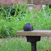 ベンチで一休み♪