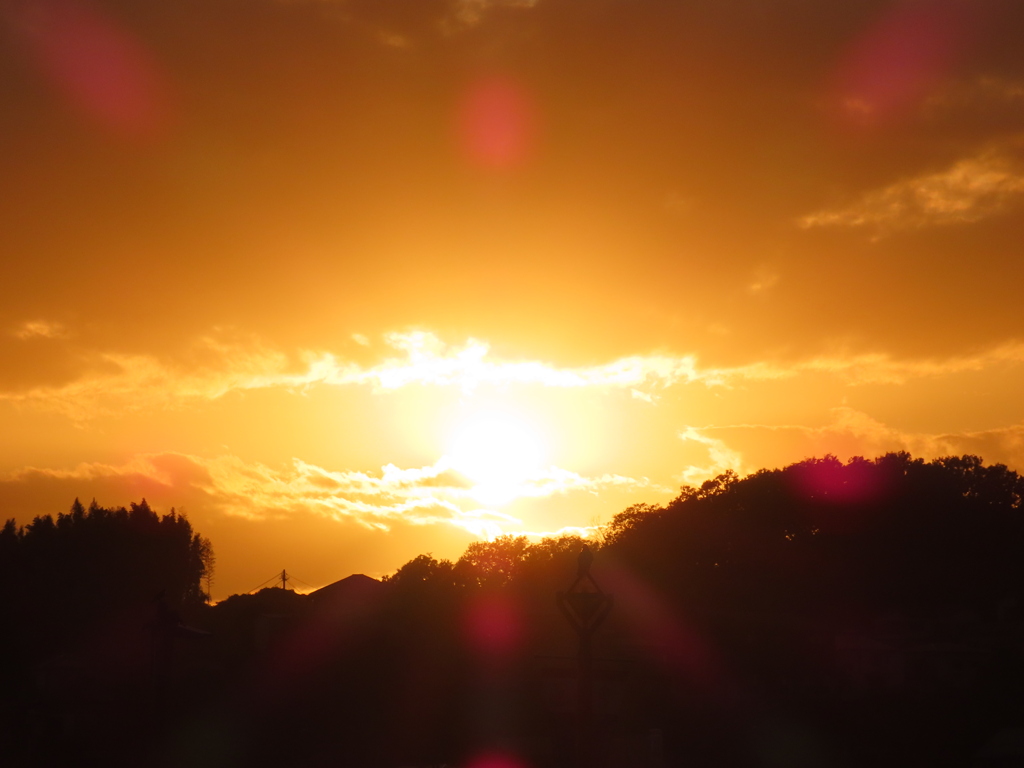 夕日に向かって