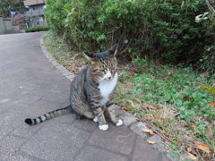 遊んでくれてありがとね♪