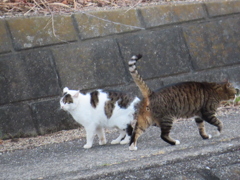 喜びの舞！！
