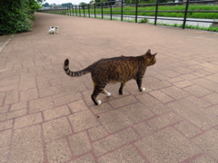 遠くから感じる視線。。。