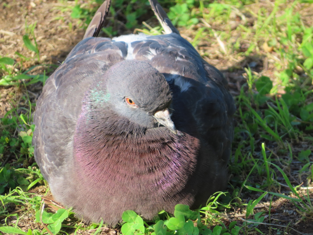 被写体がいないなら僕を撮ってよ！