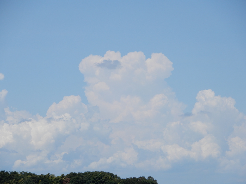 夏のひと時