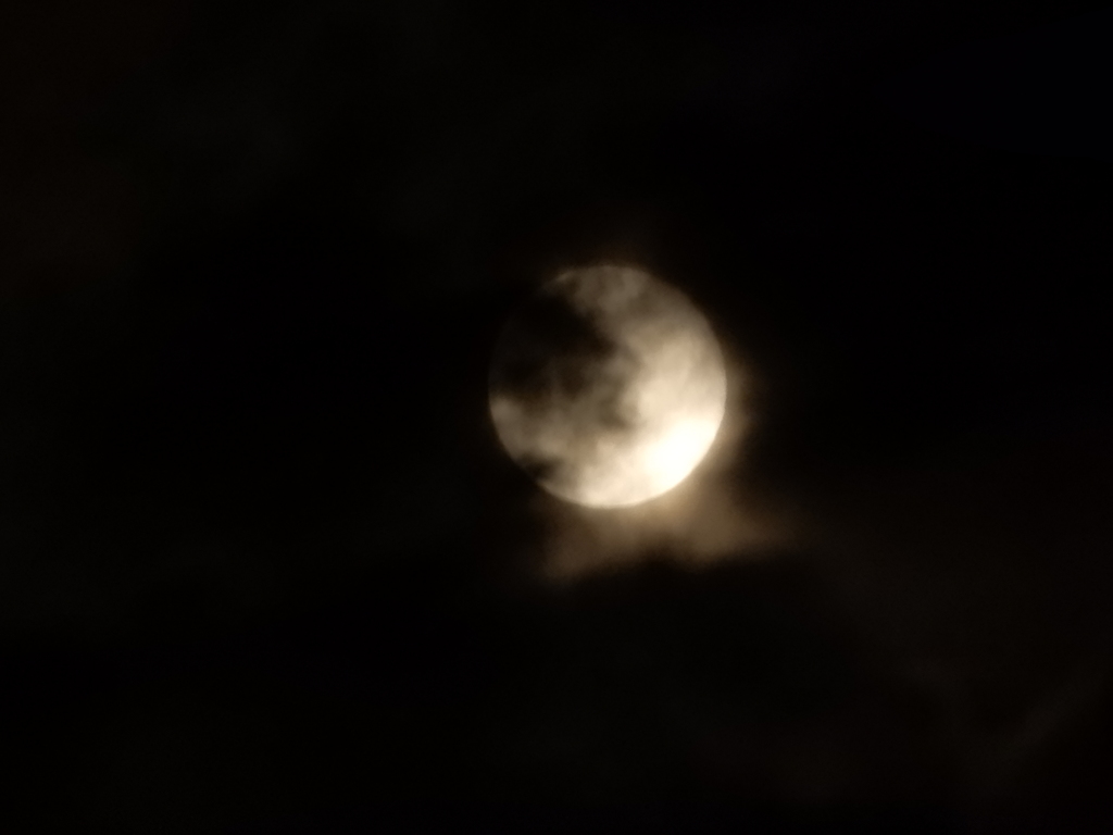 満月を　撮ろうとしたら　雲隠れ