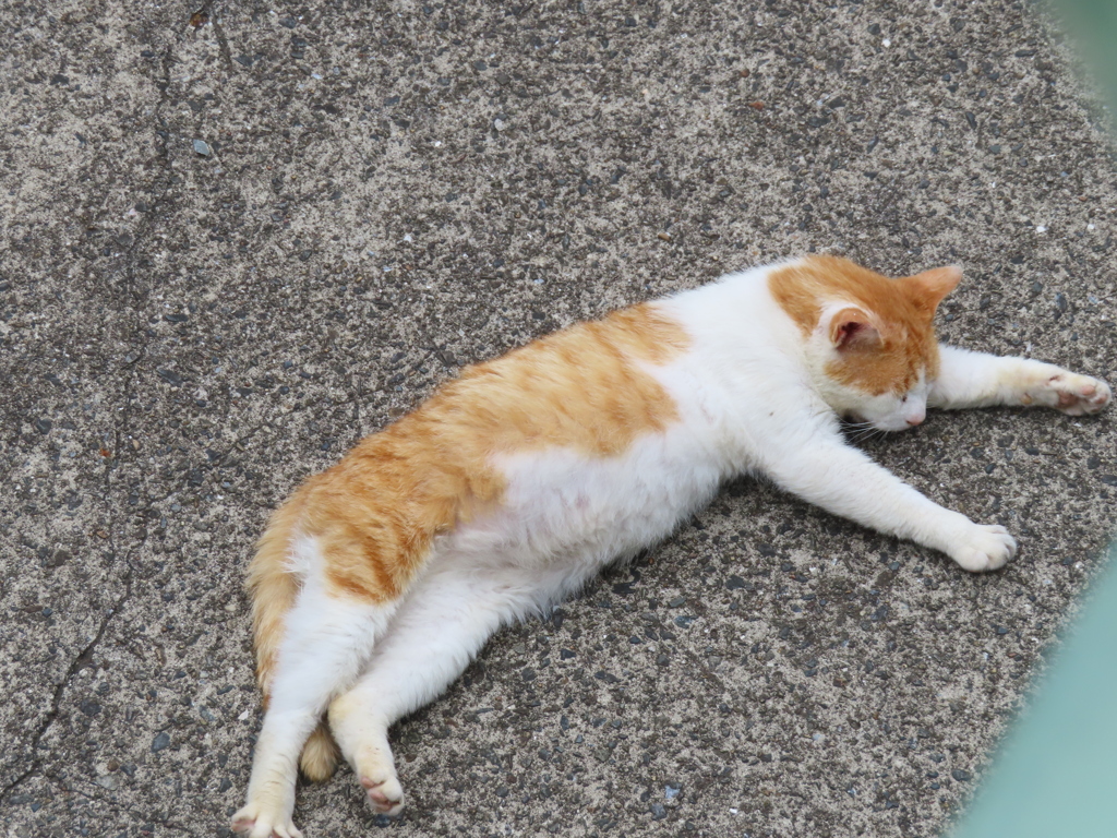びよよん。。。
