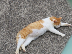 びよよん。。。