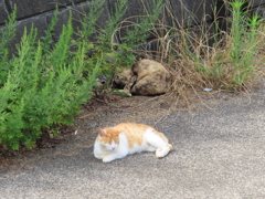 二人で仲良く♪