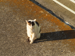 俺はここで待ってるんだぜ！