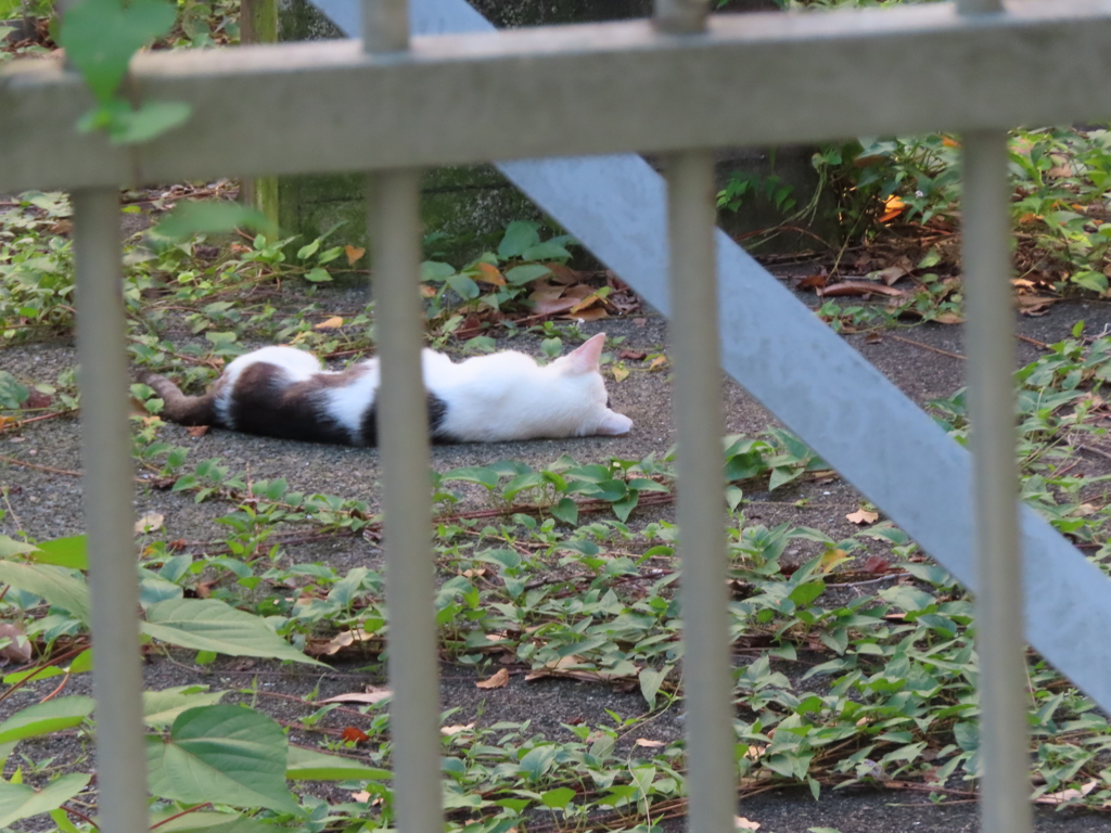 ふて寝。。。