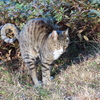 ちょっと待ってよ！！