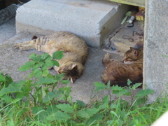 のんびりタイム♪