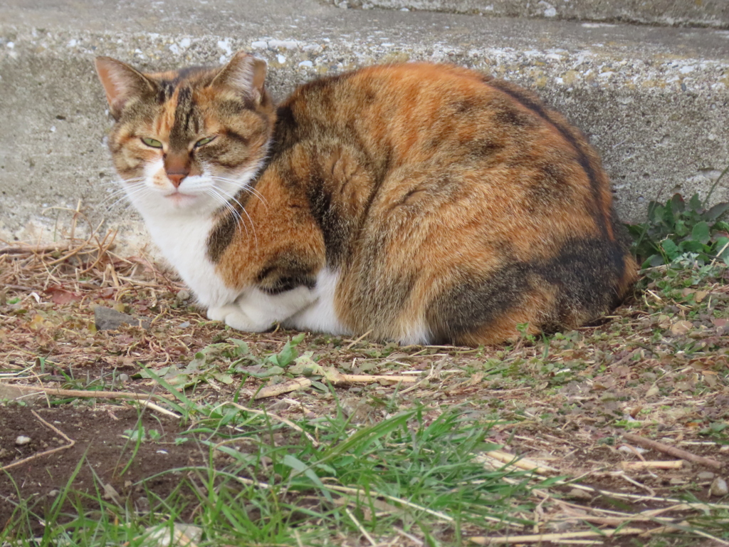 なんですか？