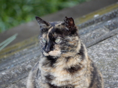 むむっ・・・！！