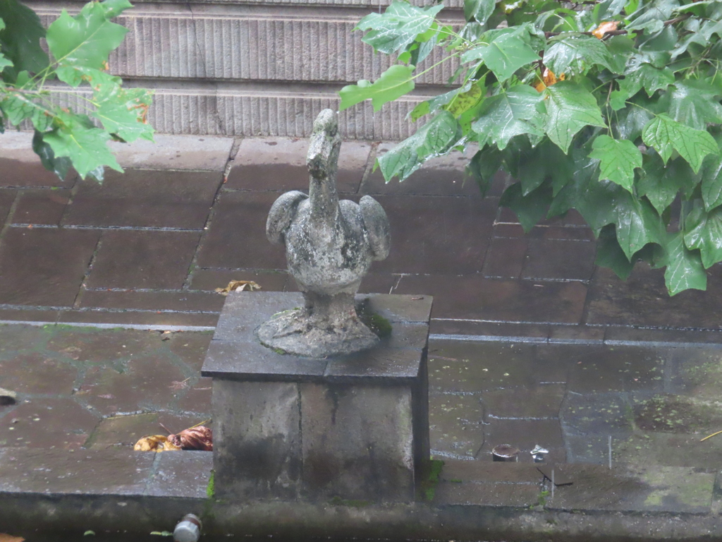雨に打たれて。。。