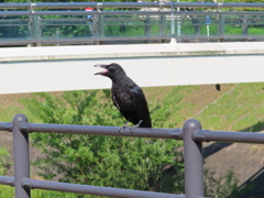 今年もこの季節がやってきたね。。。