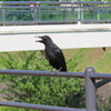 今年もこの季節がやってきたね。。。