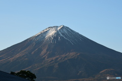 朝日を浴びる富士山