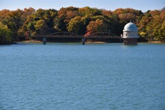 多摩湖の取水塔と紅葉２