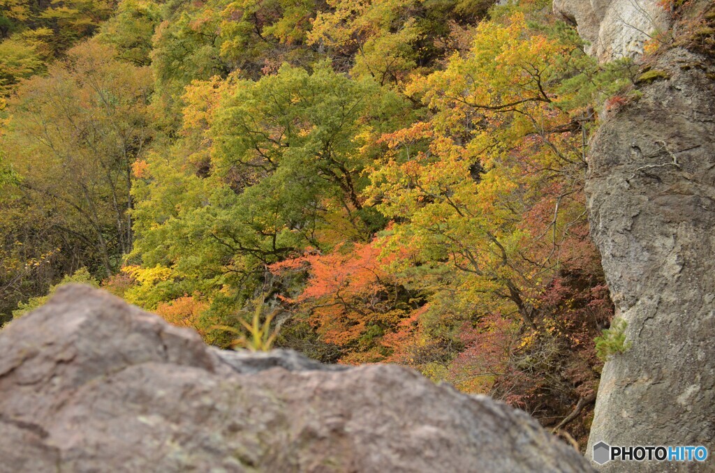 吹割渓谷の紅葉4