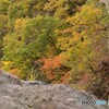 吹割渓谷の紅葉4