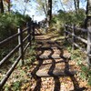 初冬の遊歩道