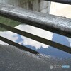 水たまり