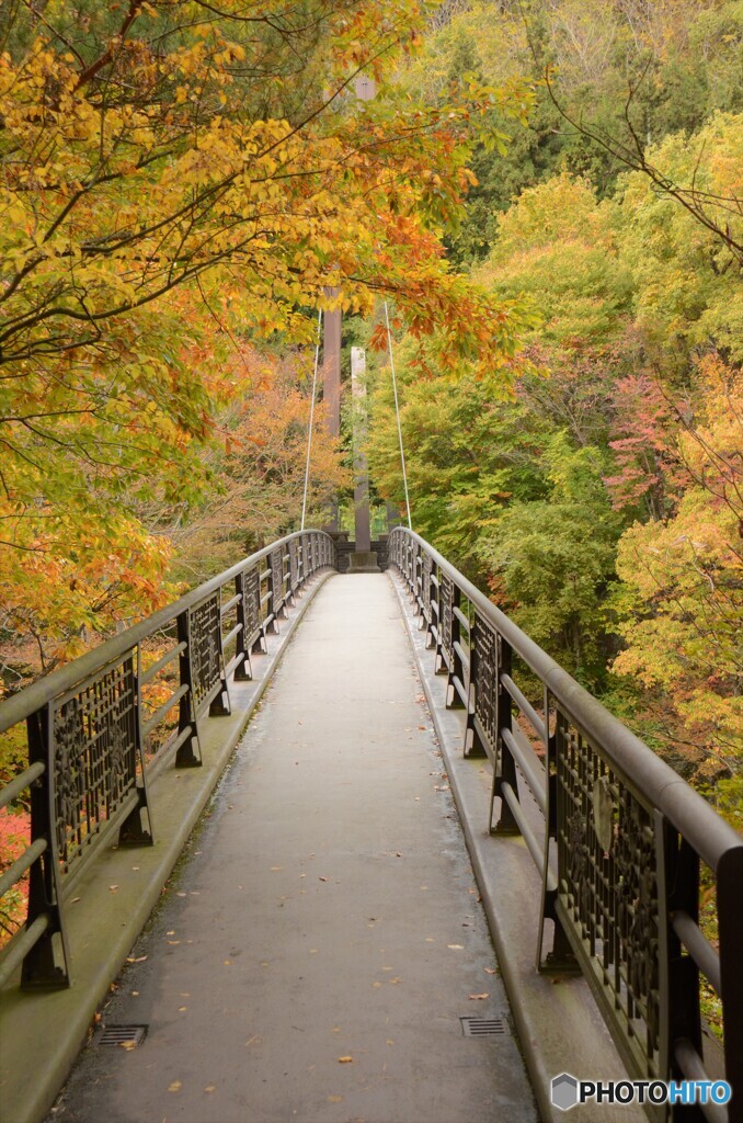 紅葉のつり橋