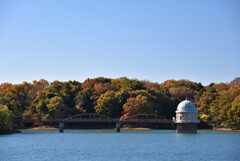 多摩湖の取水塔と紅葉３