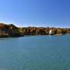 多摩湖の取水塔と紅葉１