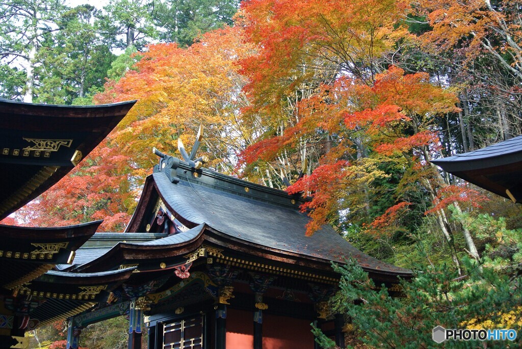 三峰神社の紅葉２