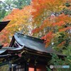 三峰神社の紅葉２