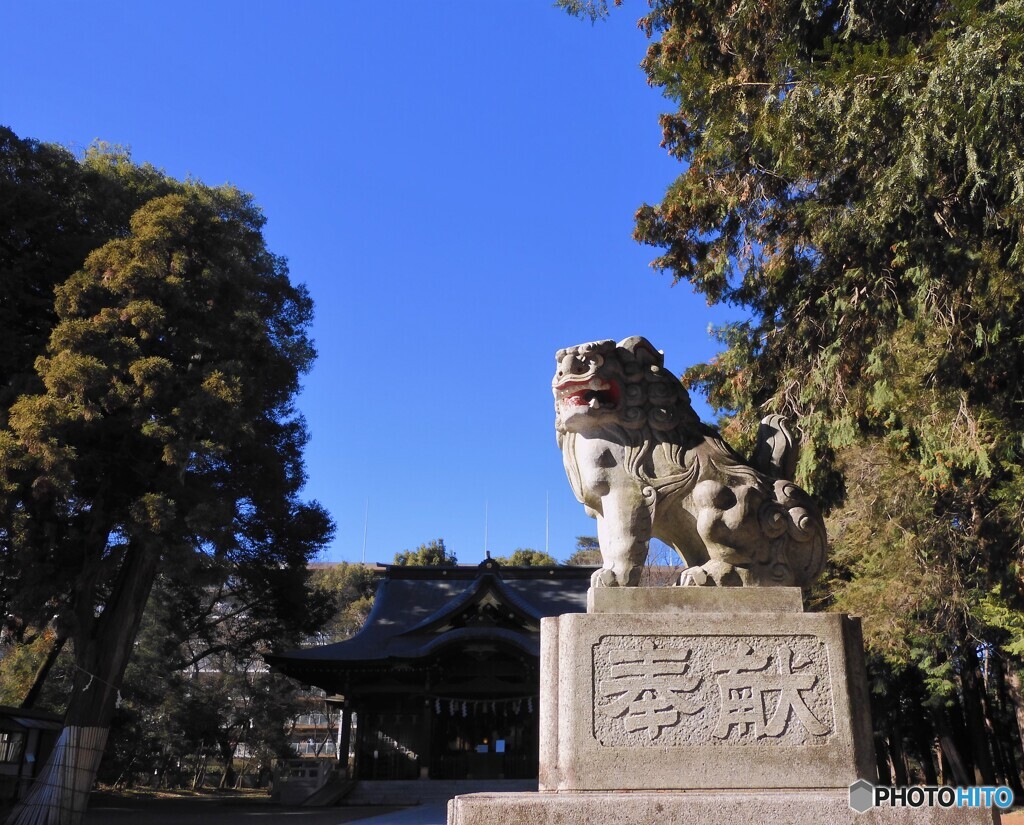 狛犬1