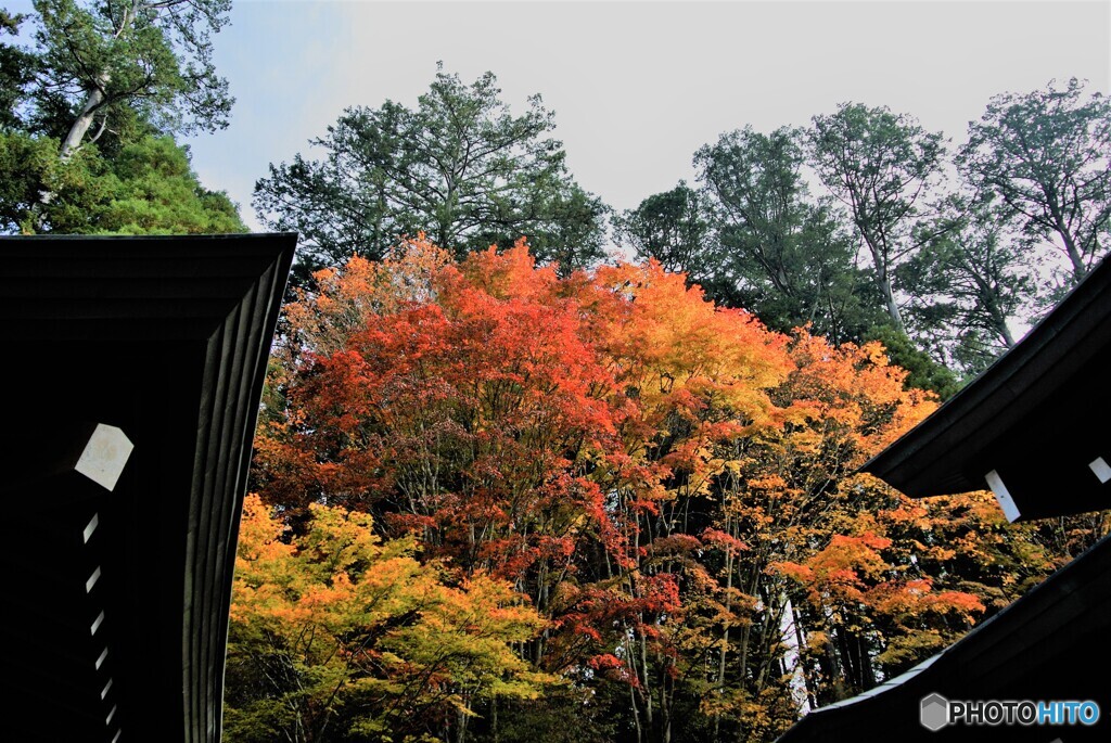 三峰神社の紅葉１