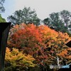 三峰神社の紅葉１