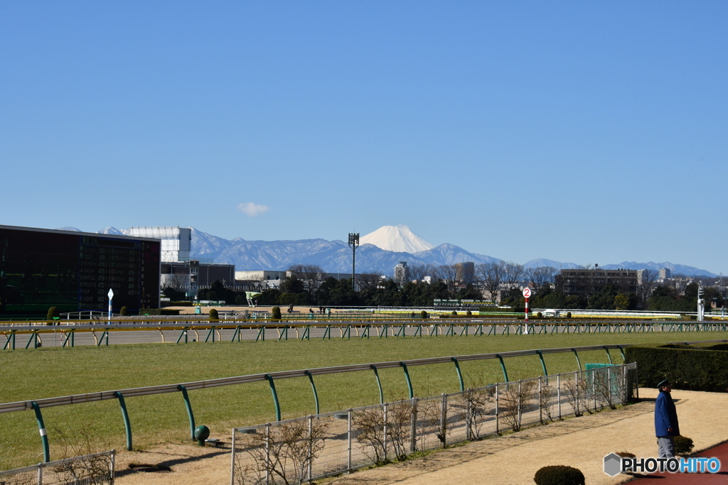 競馬場から望む富士