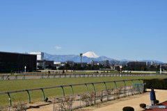 競馬場から望む富士