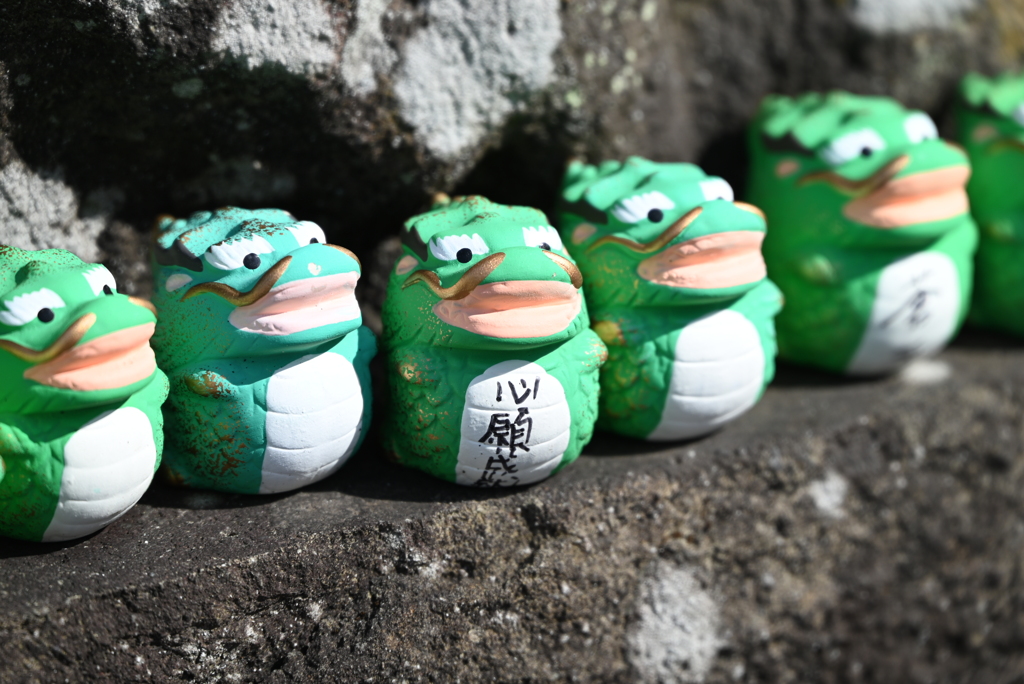 願いが叶いますように…